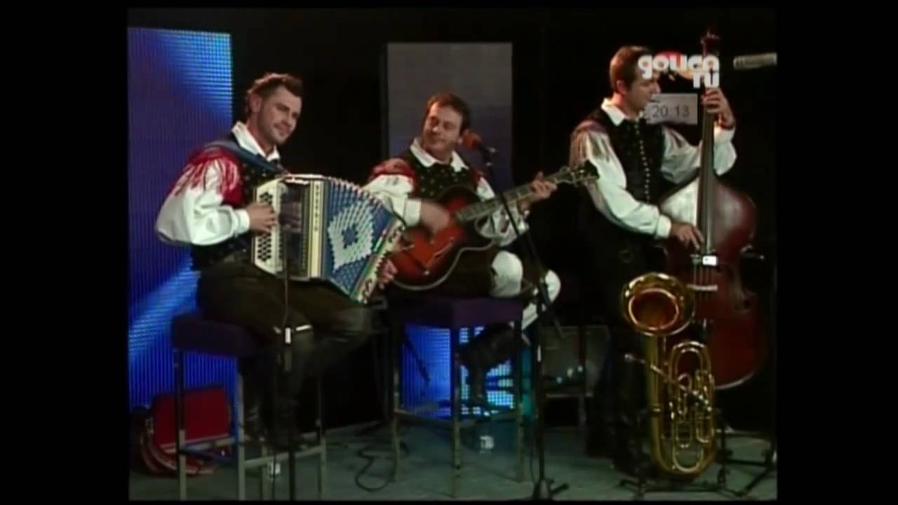 Ansambel Svetlin in Stane Petrič (v živo)