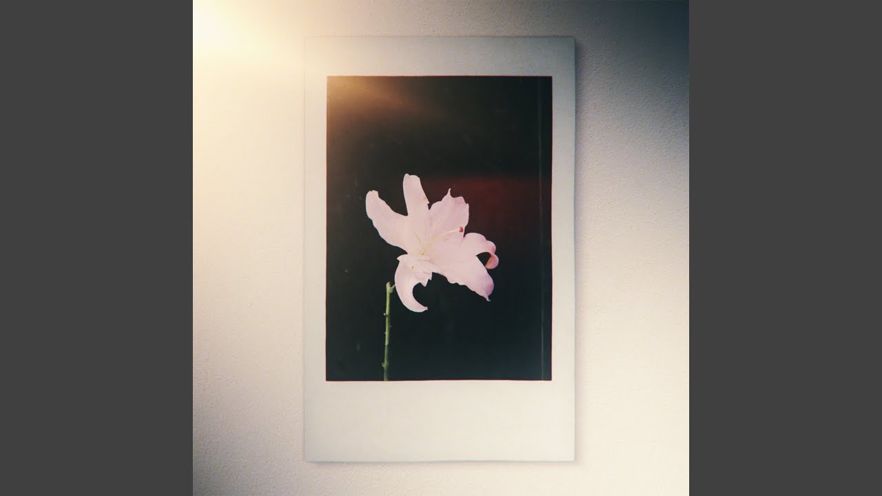 Lily
