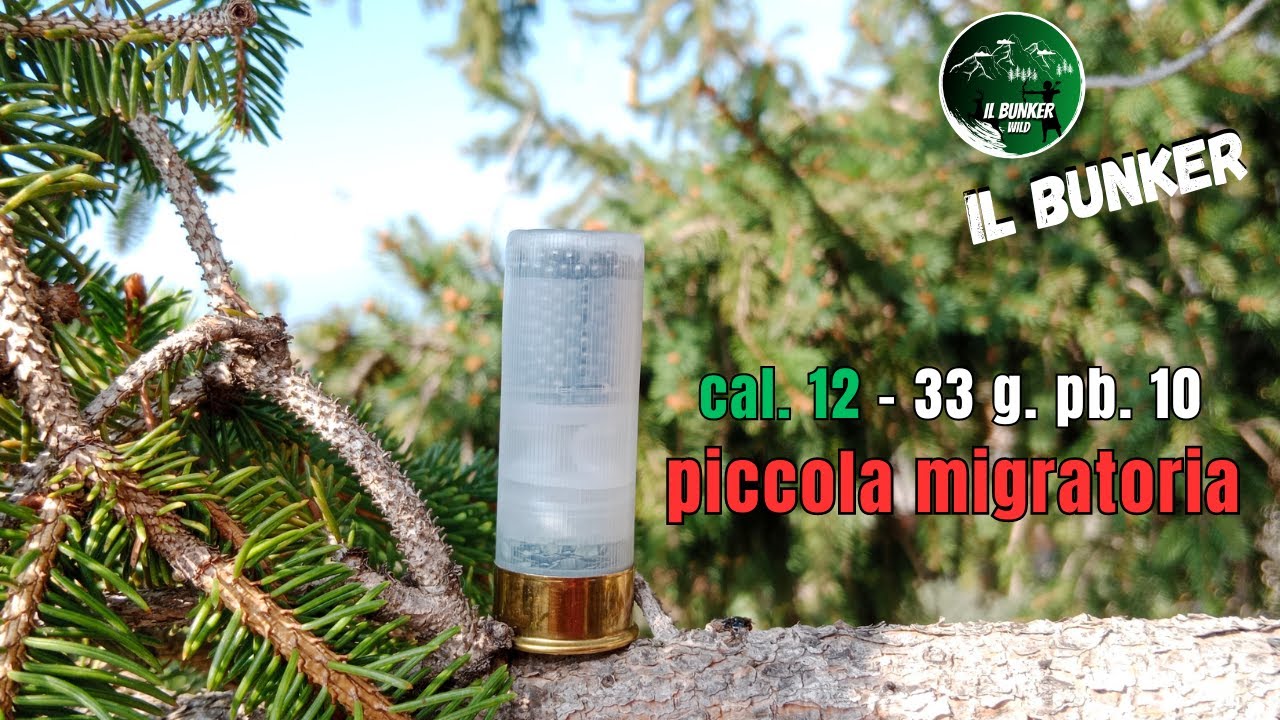 cartuccia calibro 12 per la piccola migratoria