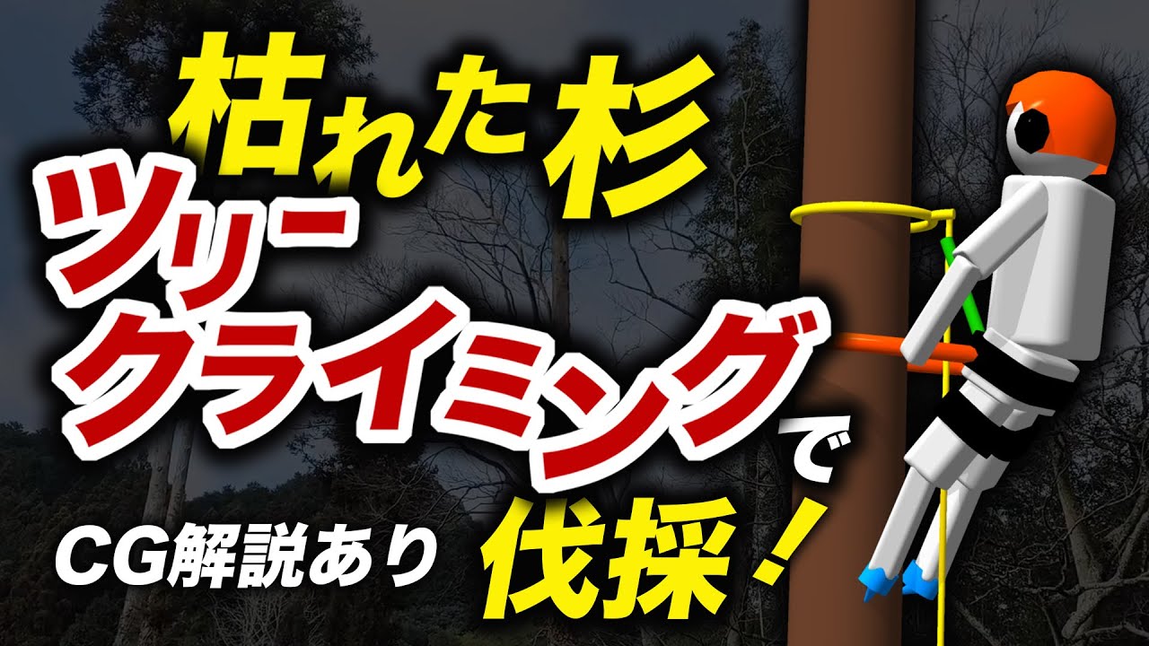 ツリークライミングで木を切る！CG解説も！