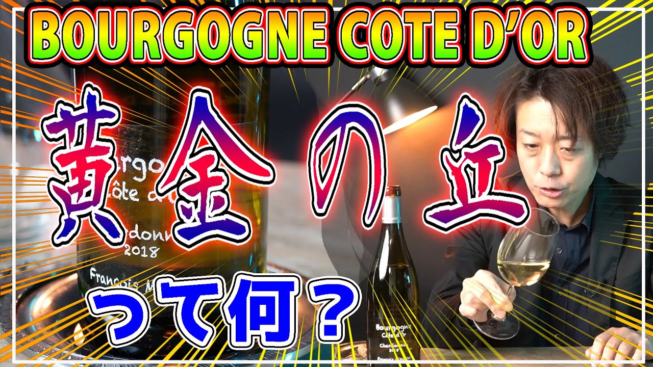 【フランソワミクルスキ　ブルゴーニュ　コートドール】ワインの”黄金の丘”とは？！