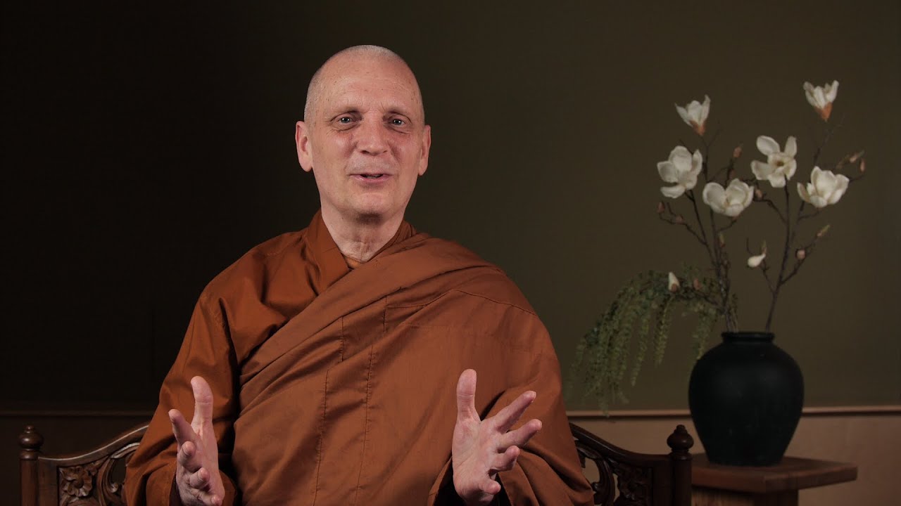 Virtual Metta Retreat (3): Skills for Sanity