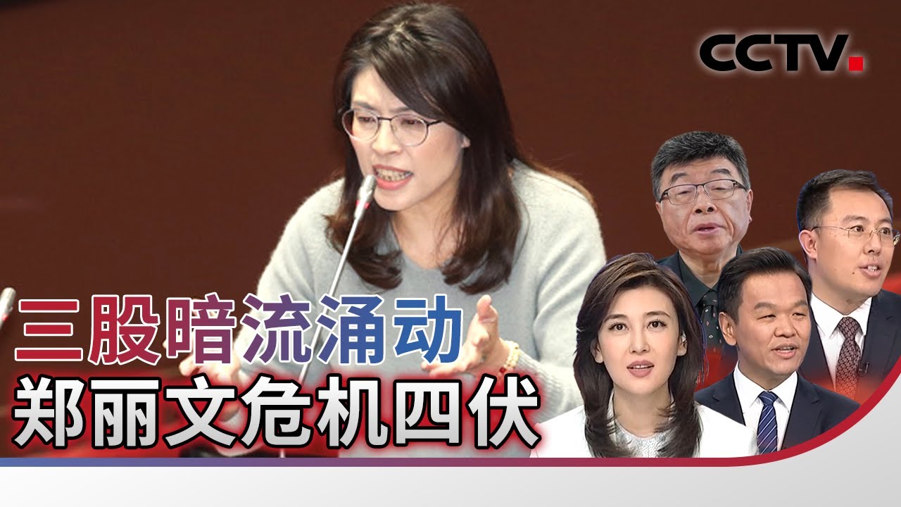 三股暗流涌动 郑丽文危机四伏 20260118 | CCTV中文《海峡两岸》