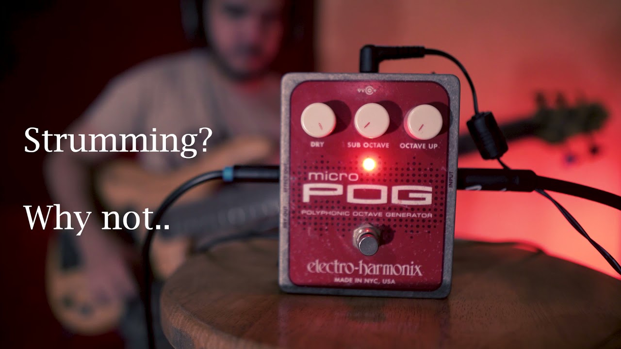 [PEDAL ON BASS] EHX Micro POG | Sound Sample | Bass Effect