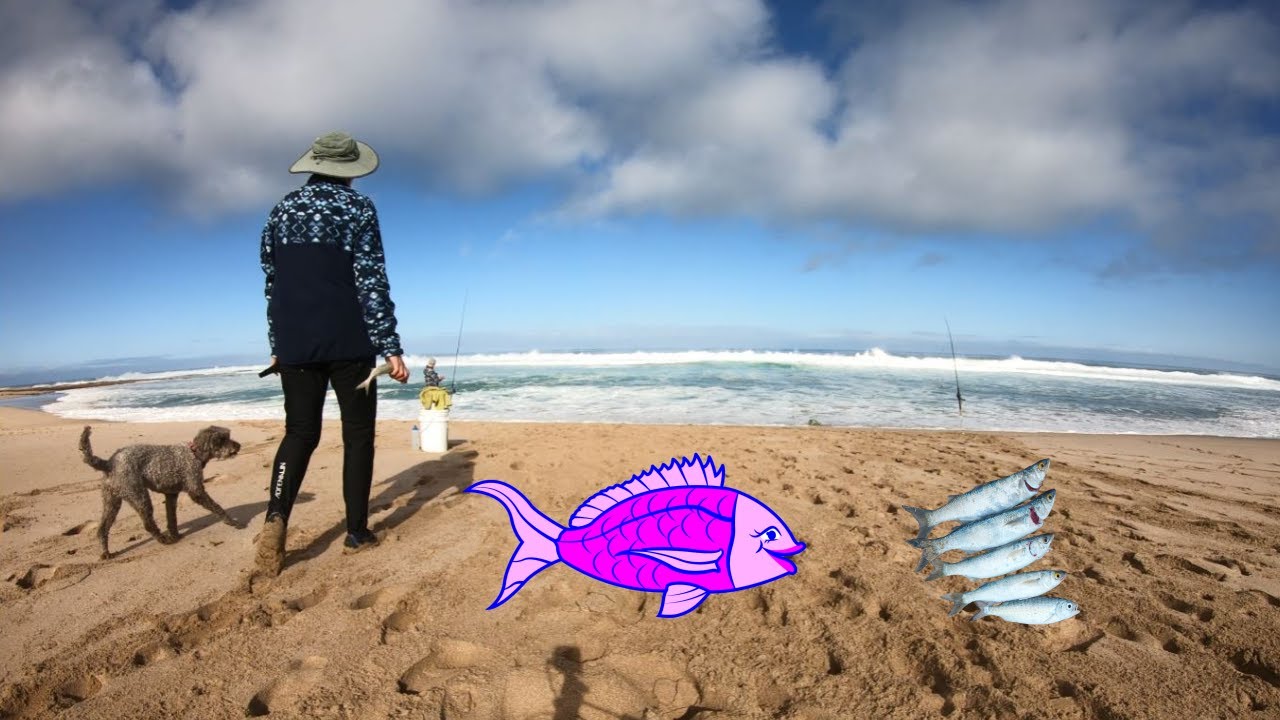 Mount Camel Beach, Australian Salmon Fishing Eyer Peninsula