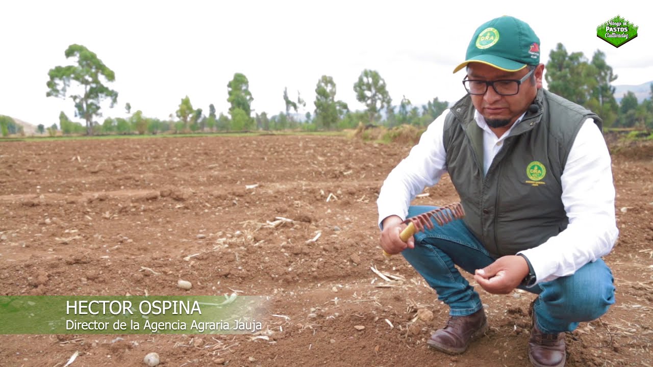 CURSO DE PASTOS CULTIVADOS (Primera Parte)