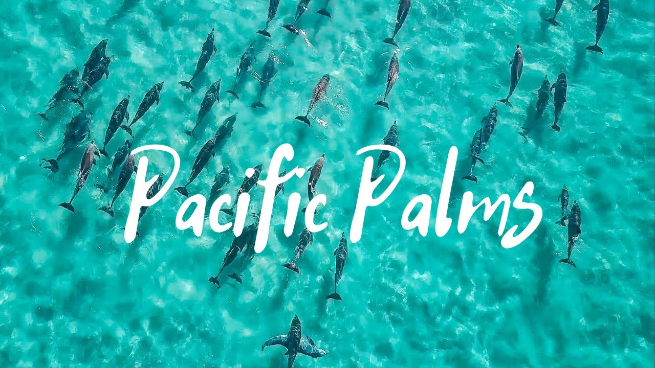 Pacific Palms NSW - Weekend getaway