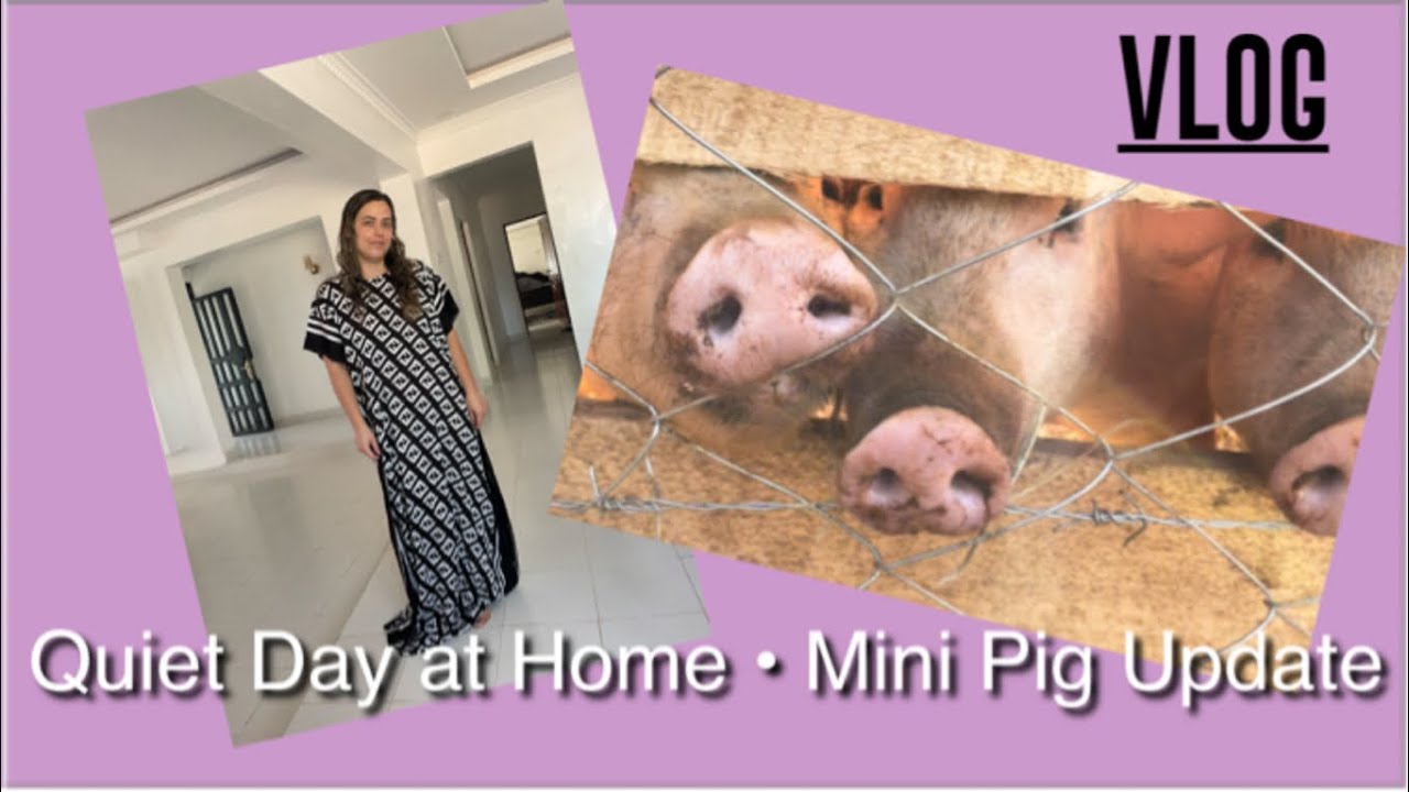 Simple Day at Home | Cooking + Relaxing | Pig Update | Village Life | Kenya life | Meru Life
