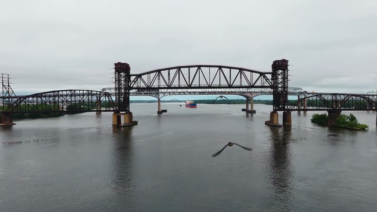 Drone Under Attack from Multiple Peregrine Falcon's #drone #peregrinefalcon #birdattack #djimini4pro