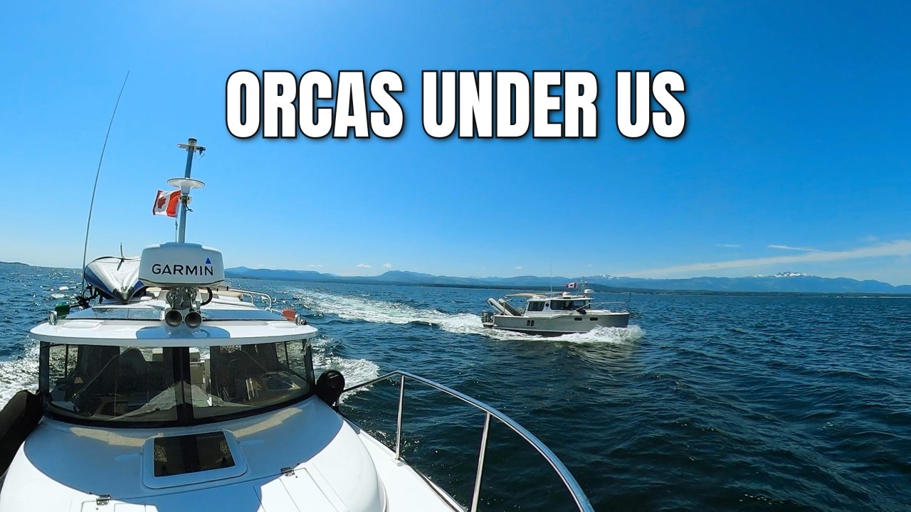 Cruising to Campbell River: See What Day 2 on our Alaska Journey Reveals! | Ranger Tug R27ob