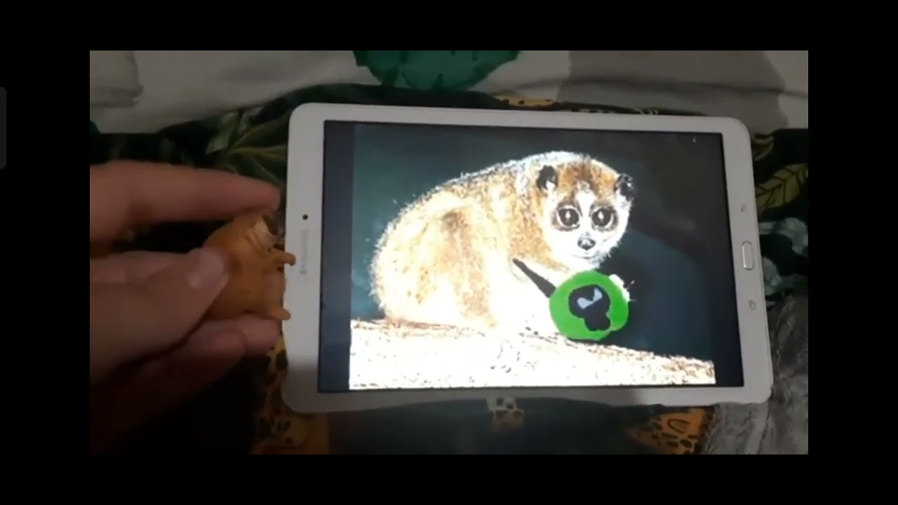 Meet the Animals 85: Slow Loris