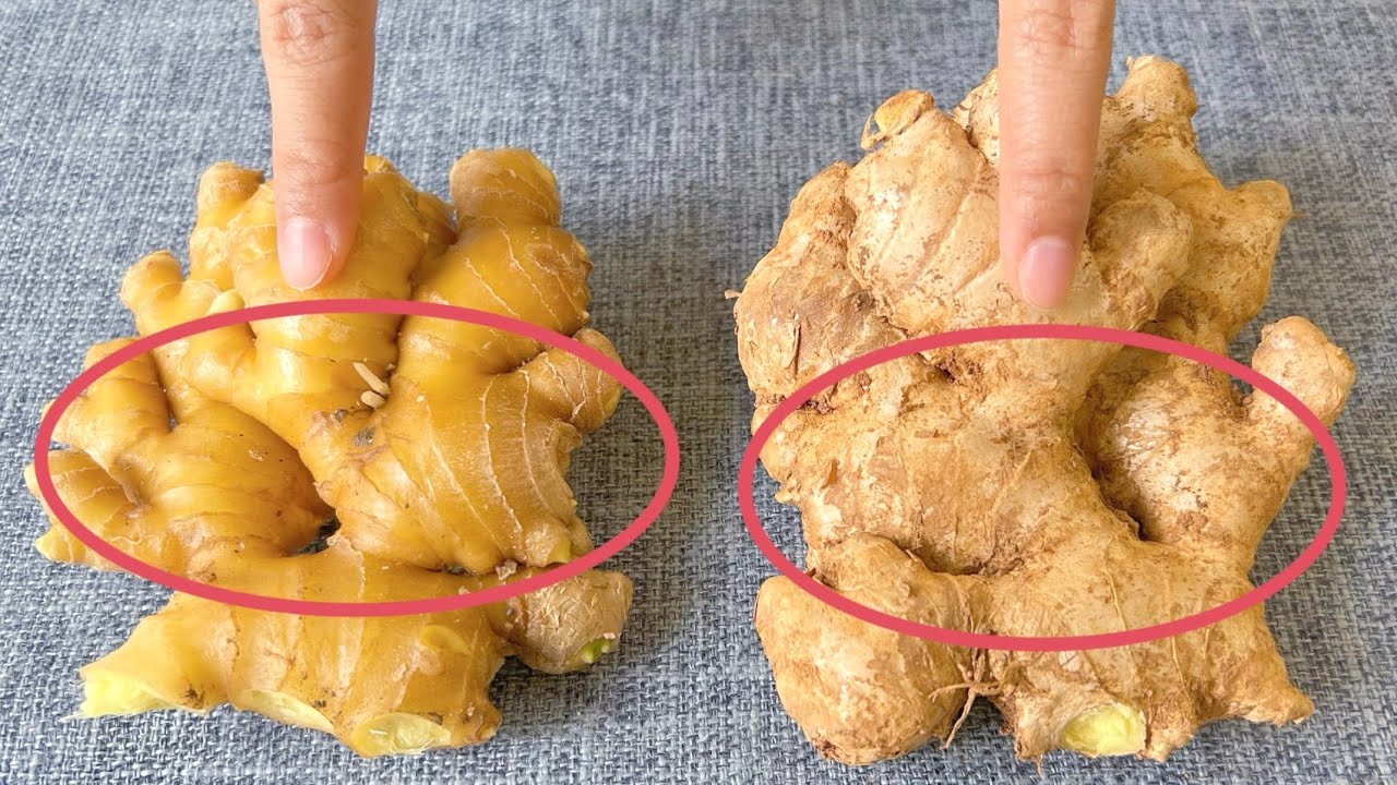才知道，這5種生薑再便宜也不要買，菜販子也從來不吃，看完記得告知家裡人