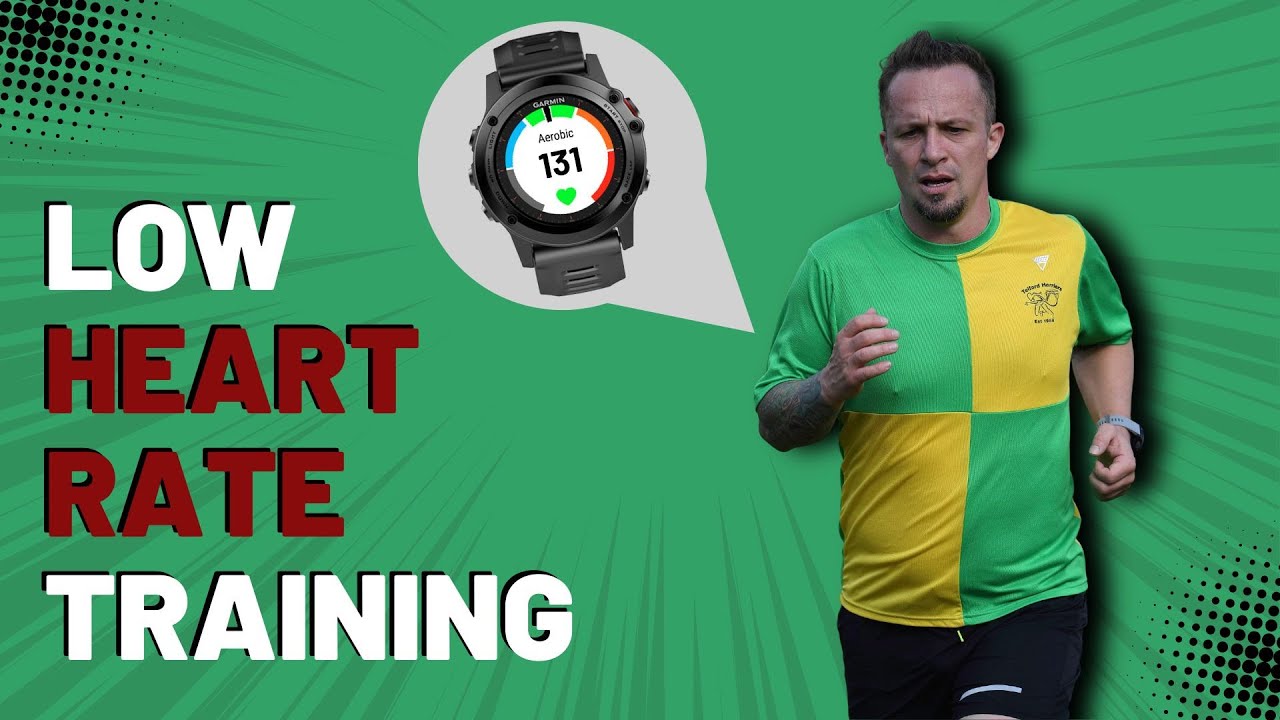 Begining 12 Months of Low Heart Rate Training