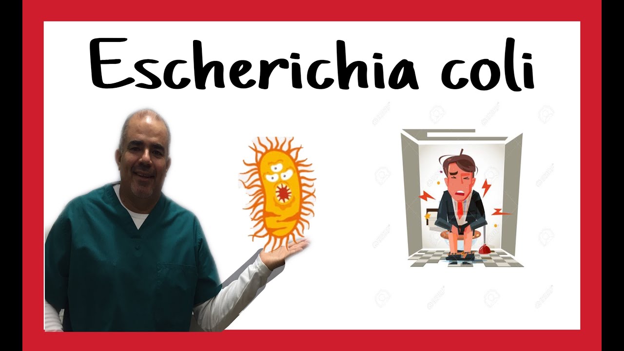 Escherichia coli: características, subtipos, enfermedades y diagnostico.