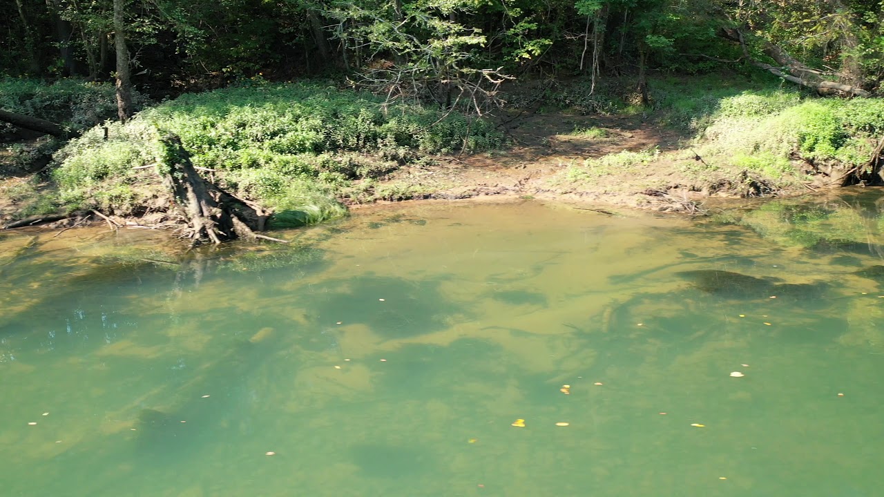 Heber Springs Arkansas Tour