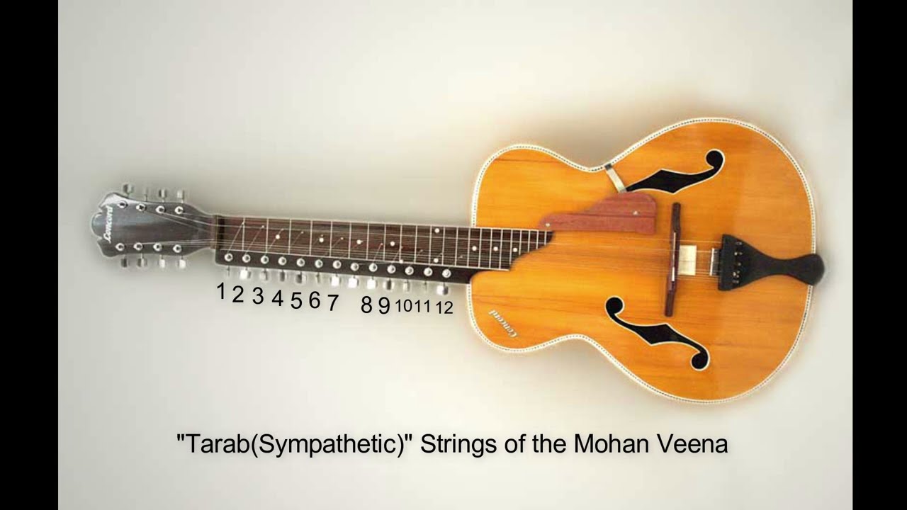 Tuning the Mohan Veena | Part 2 - Standard Tuning In-Depth