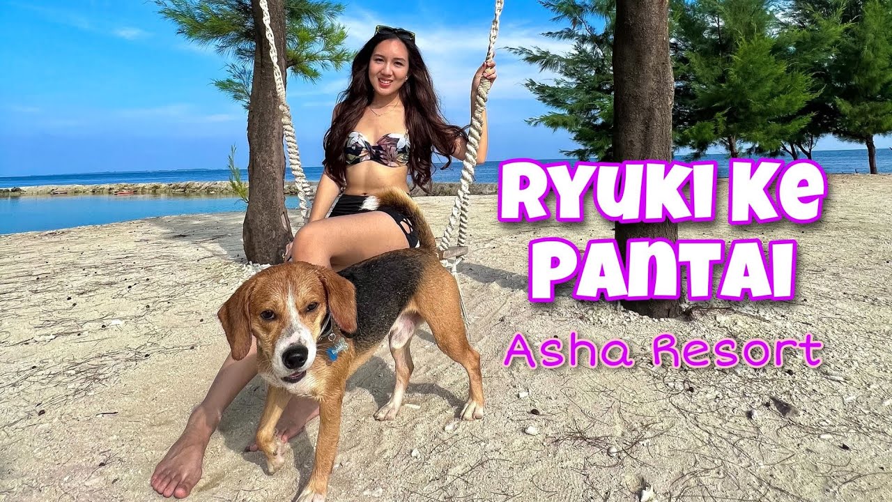 AJAK ANABUL KE PULAU PET FRIENDLY!! | Spill Budget ke ASHA RESORT PULAU SERIBU