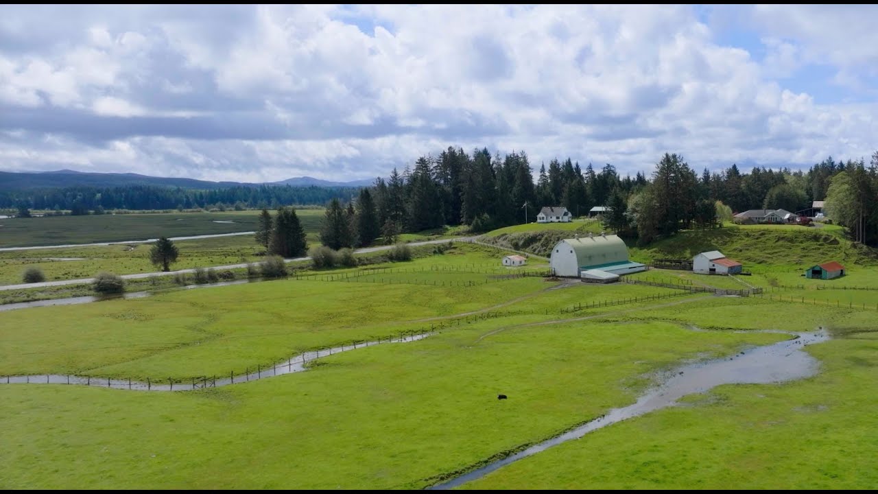 Centennial Stewardship