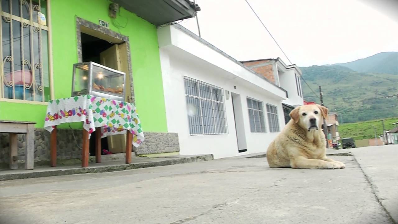 Sabe cuál es la capital cívica del Putumayo? #RegiónTR3CE