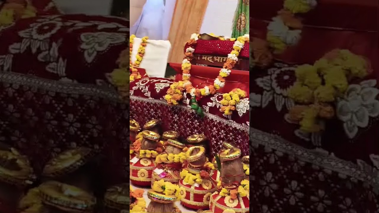 राधे राधे खेडा खुर्द दिल्ली देवीजी द्वारा दिव्य कथा सुनकर।भक्त हुए भाव बिभोर 🥰👌 लाइक सब्सक्राइब करें