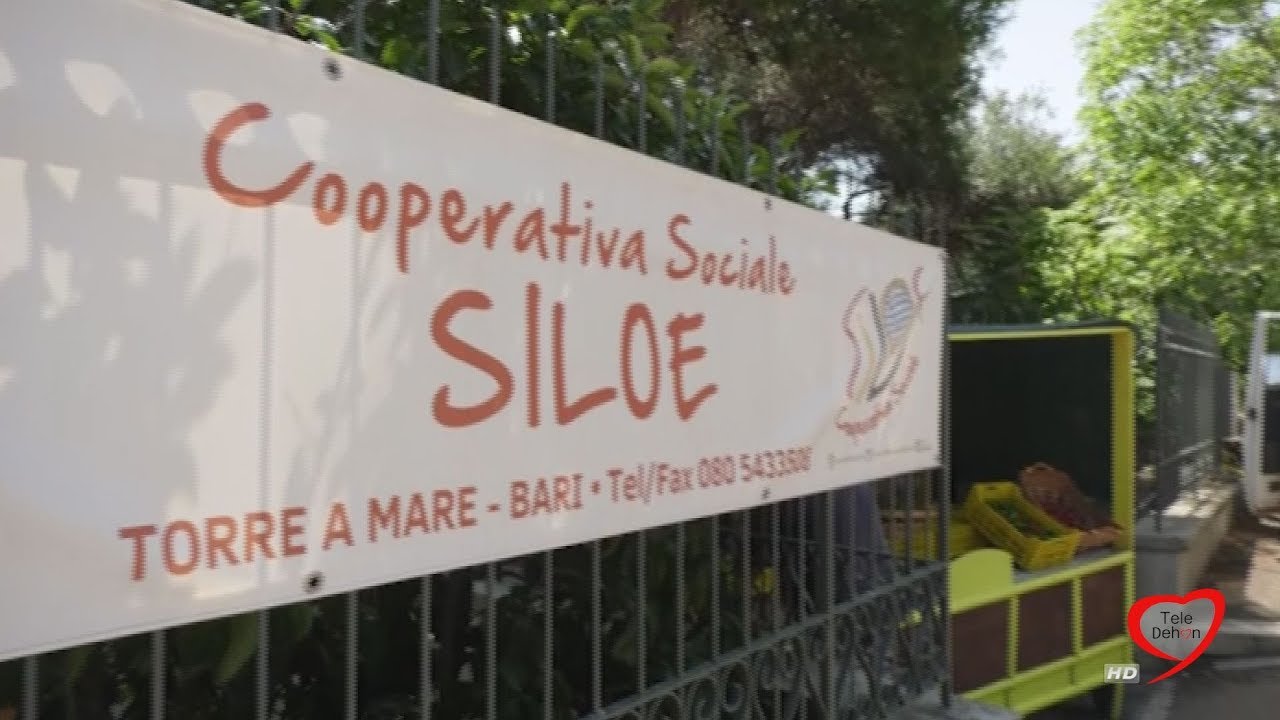 Siloe Coop. Soc - Comunità Sannicola, Torre a Mare