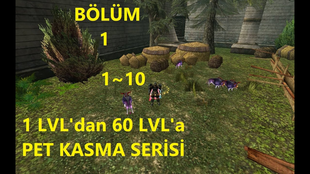 Knight Online // 1 LVL'dan 60 LVL'a Pet Kasma Serisi // BÖLÜM 1