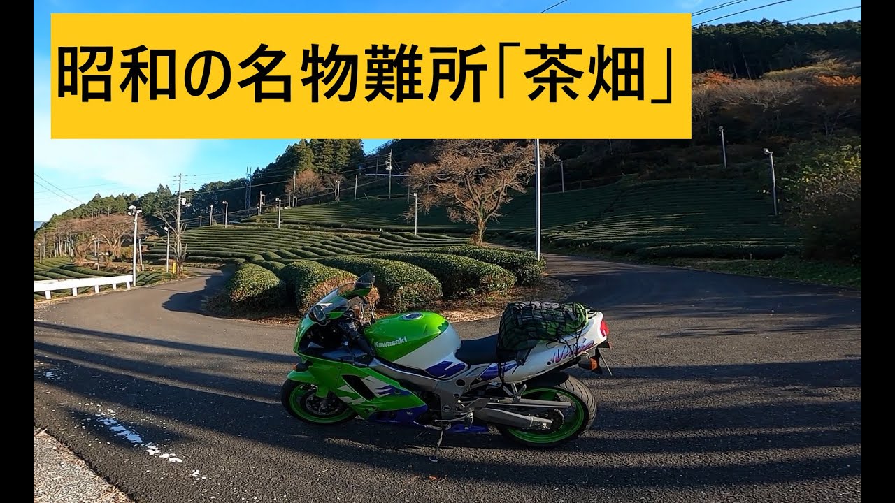 ツーリング、四万十源流点と茶畑