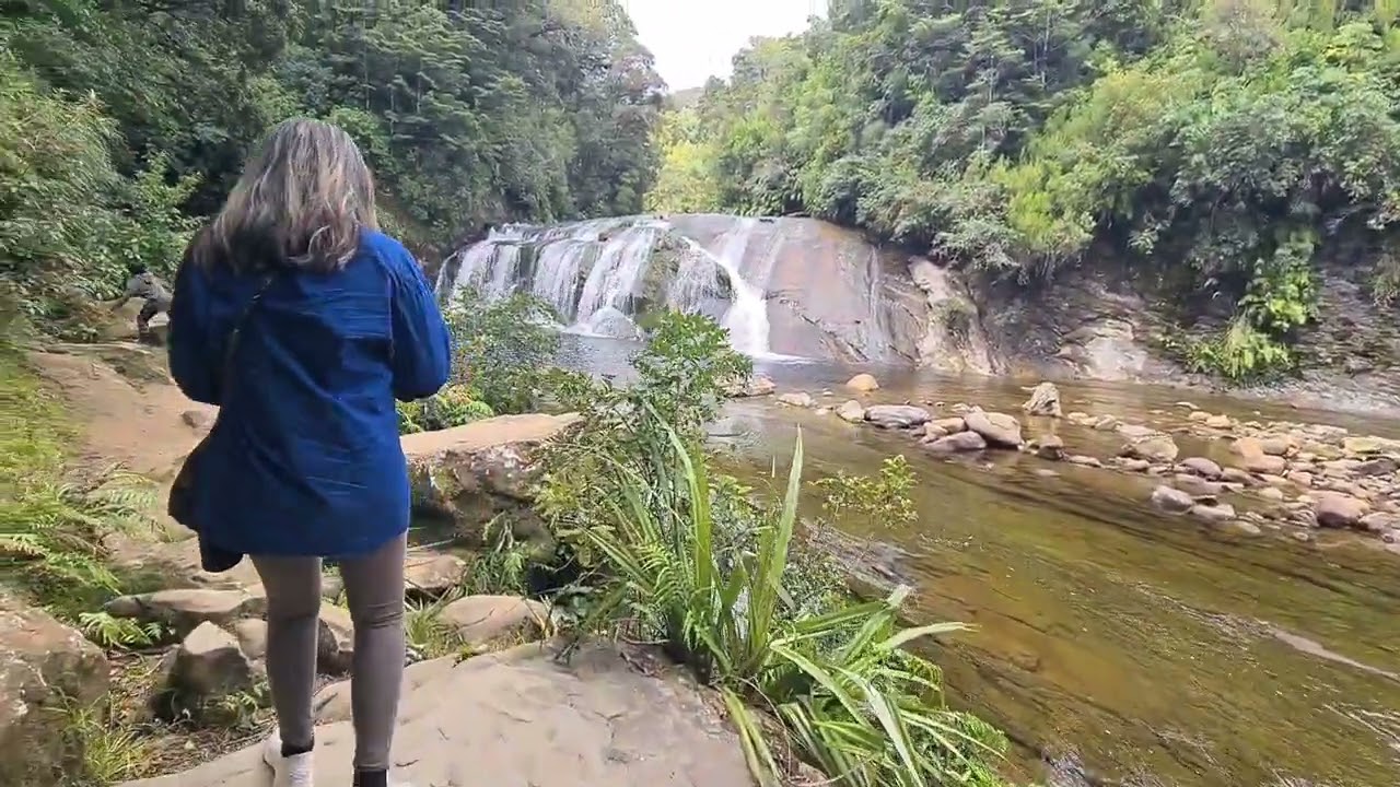 Coal Creek Falls Runanga | January 31, 2026