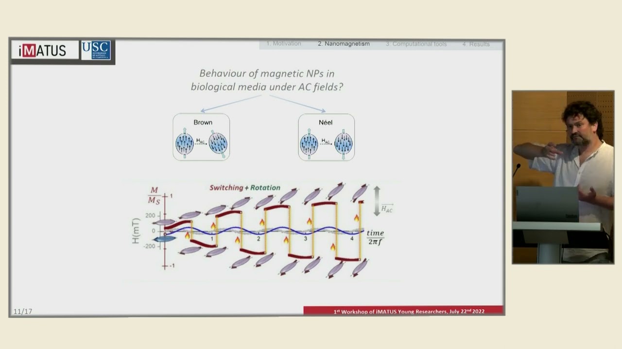 David Serantes | Magnetic nanoparticles for biomedical apps: simulations and theoretical approaches