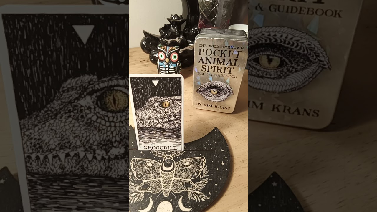 Crocodile Animal Spirit Message | From The Wild Unknown Pocket #AnimalSpirit Deck #guidance #healing