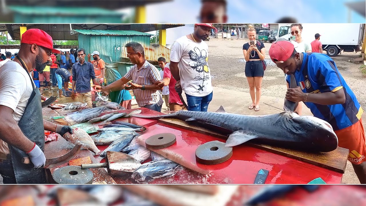 WoW AMAZING ITERESTING HUGE FISHES CUTTING ON STREET FISH MARKET BY EXPERT