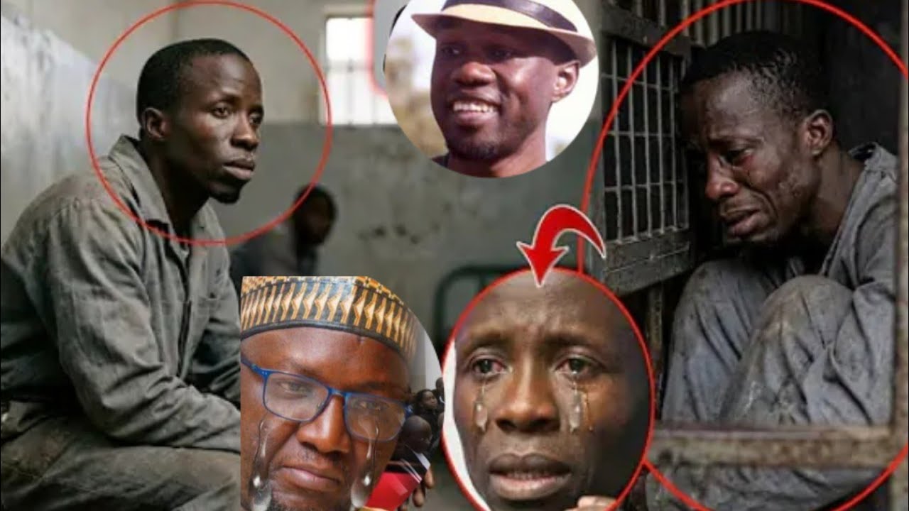 Houï 🥶 : Abdou nguer supplie - ousmane sonko reste le maître du jeu quelques soit les circonstances 