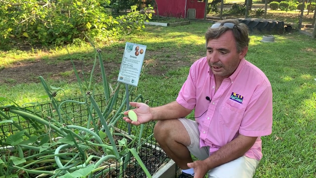 Louisiana Kitchen Garden Tour with Kerry Heafner