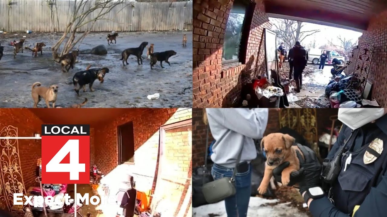 Police hunt for Genesee County couple after 95 pets found dead and alive in grisly squalor