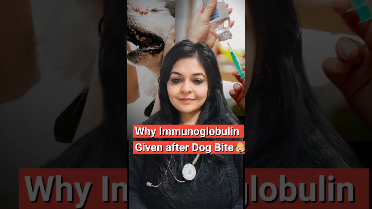 Role of Rabies Immunoglobulin after Dog Bite🐶 #rabies #shorts #shortsfeed