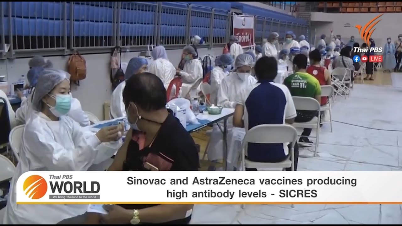 Sinovac and AstraZeneca vaccines producing high antibody levels - SICRES