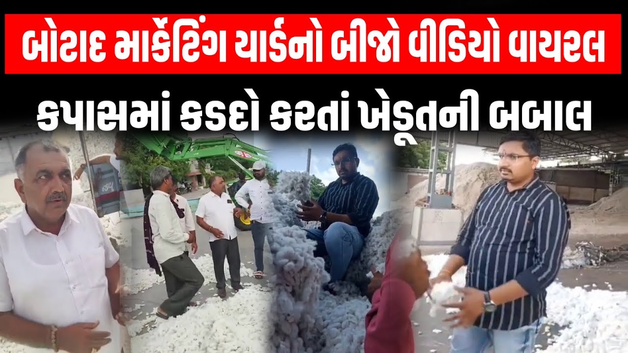Botad માર્કેટિંગ યાર્ડનો બીજો વીડિયો વાયરલ કપાસમાં કડદો કરતાં ખેડૂતની વેપારી સાથે બબાલ