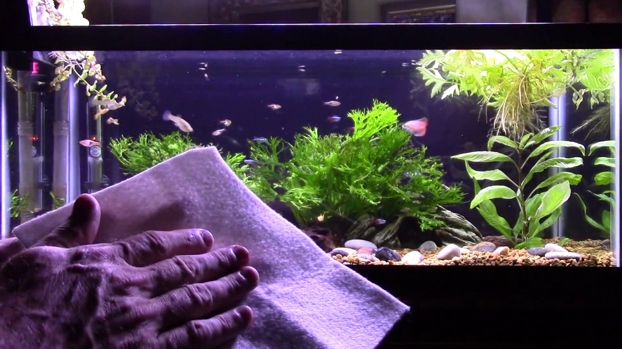 Polished Water In An Aquarium?