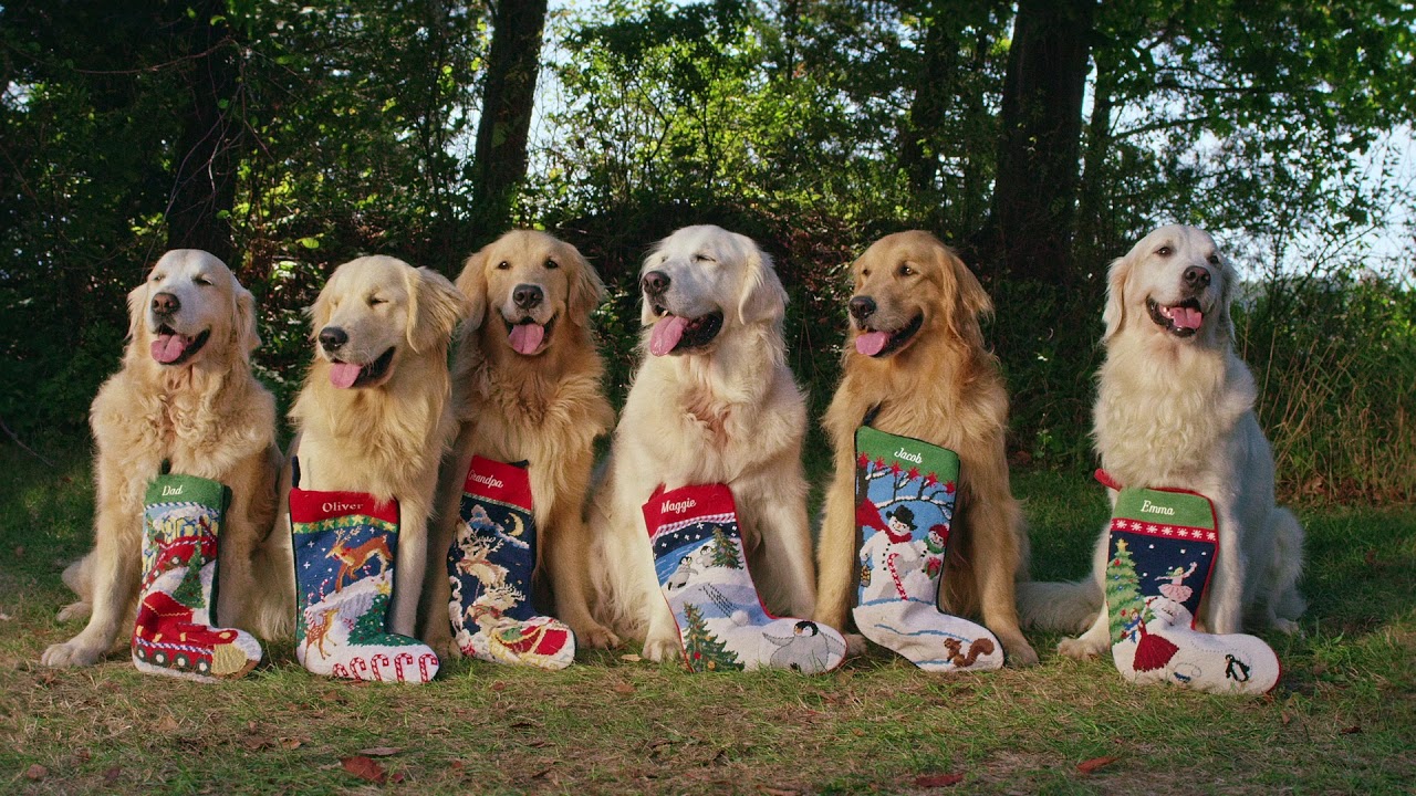 Bruce Weber - Lands' End Holiday 2015 Campaign Film :60