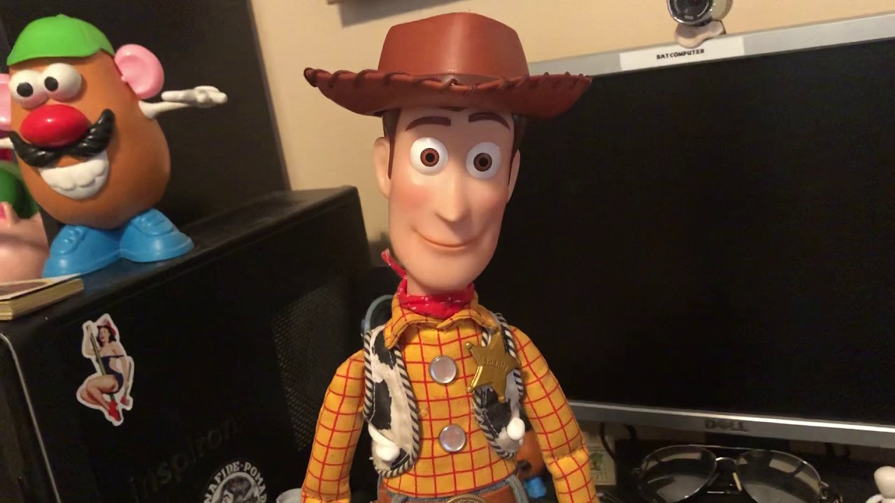 Custom Woody Voice Box update