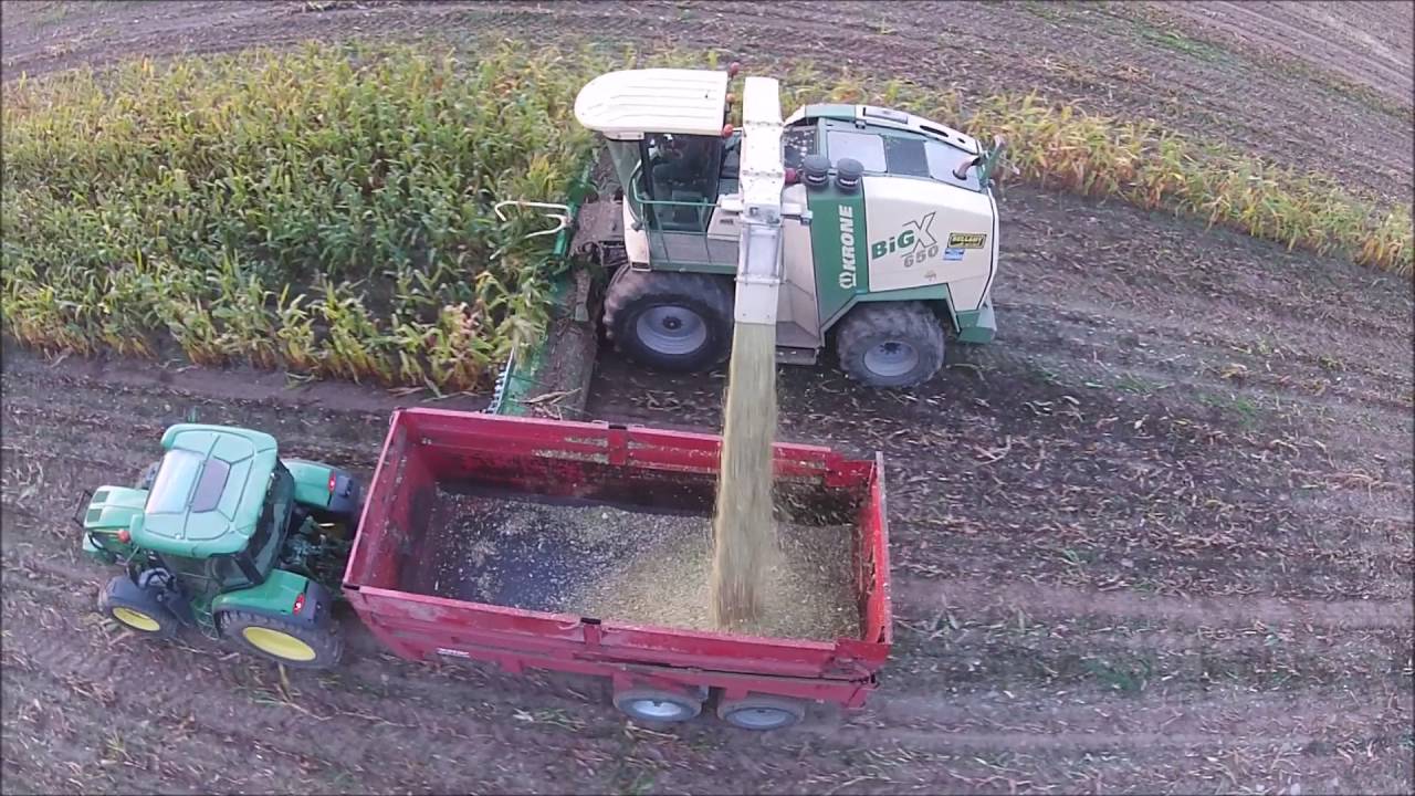 [DJI/GoPro/Canon] Ensilage de maïs 2016 a l'aube [HD] Krone Big X 650 10 rangs