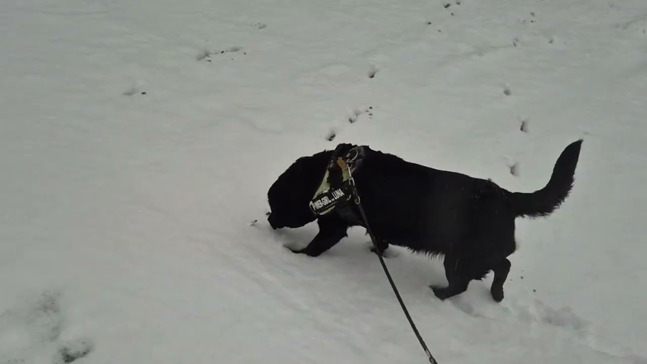 16 febr 26 nog een keer sneeuw