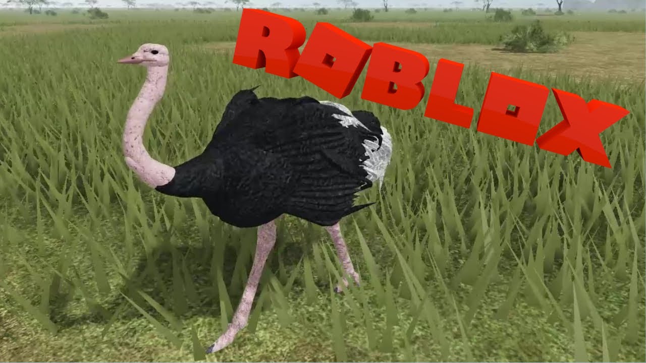 I'm BACK...And as an OSTRICH | Roblox; Wild Savannah/Testing A