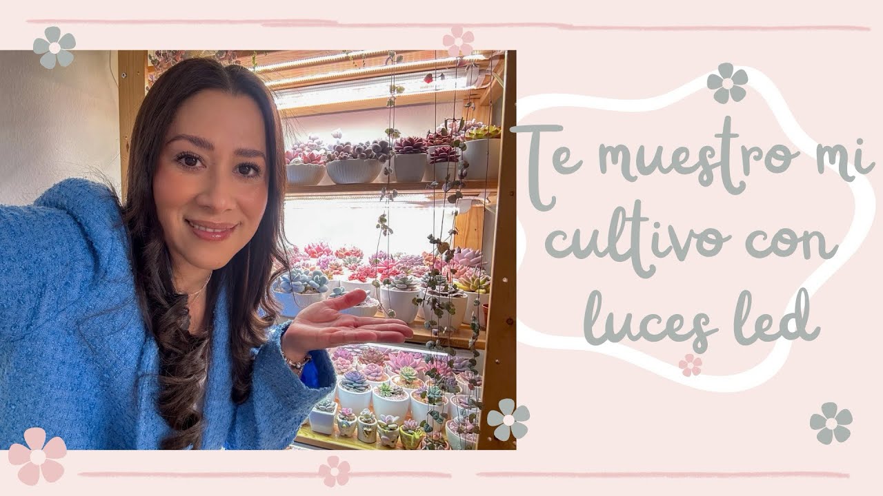 Cultivo con luces Led