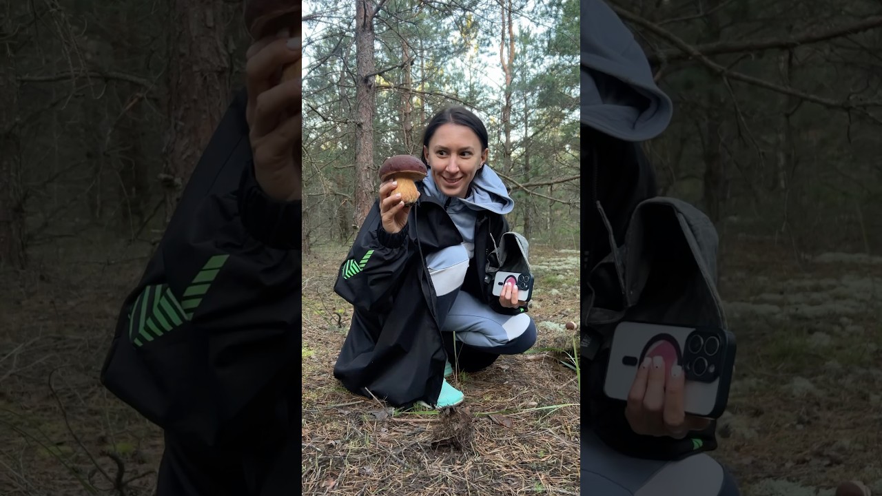 Боровики монстры напали на Беларусь 🇧🇾!☺️