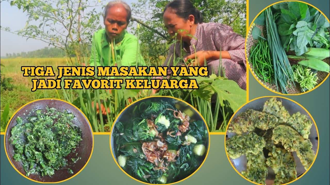 SARAPAN PAGI HARI YANG MENGGUGAH SELERA|| MUSIM PANEN PADI