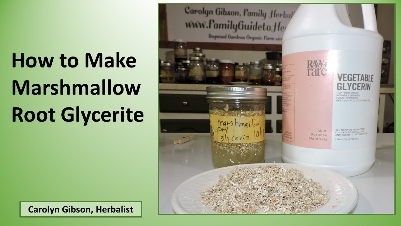 How to Make a Non-Alcohol Marshmallow Root Tincture