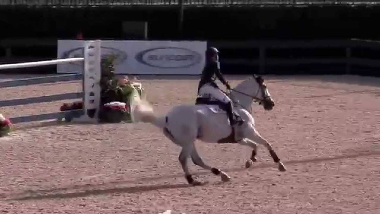 Platinum - Winner Tryon CSI 4* 1.50m