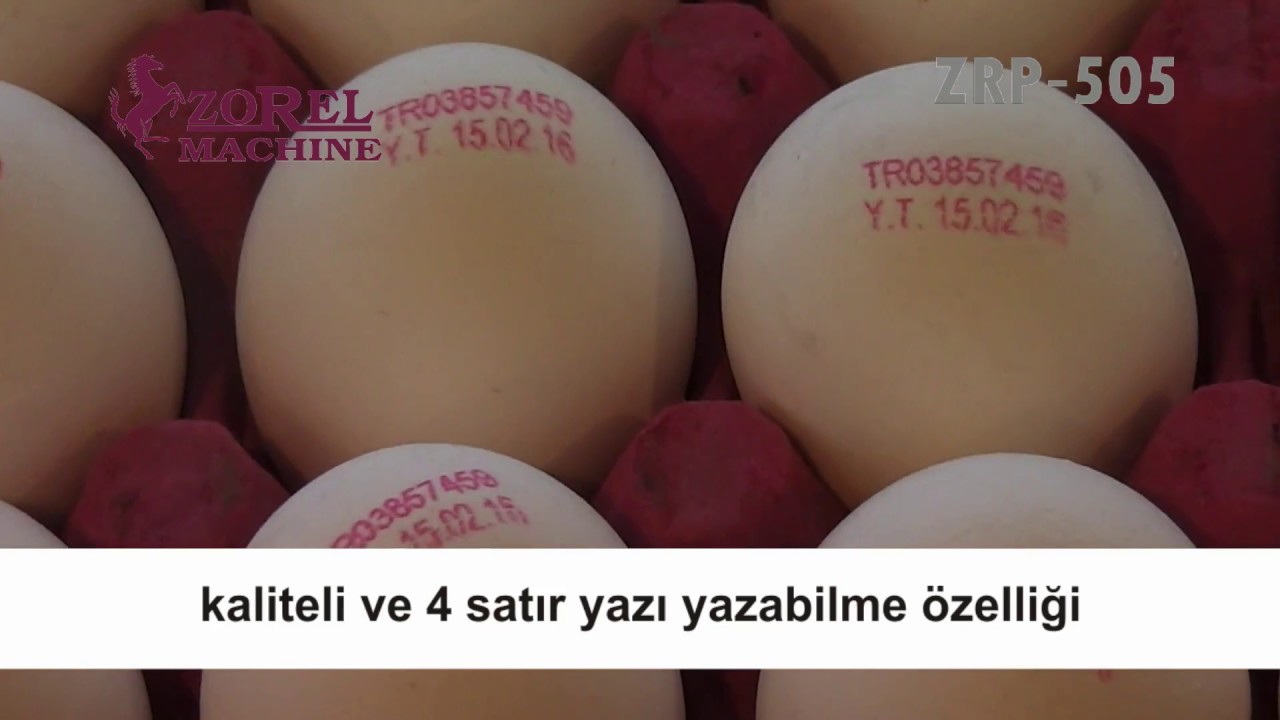 ZOREL EGG PRINTER - YUMURTA KODLAMA MAKİNASI ZRP-505