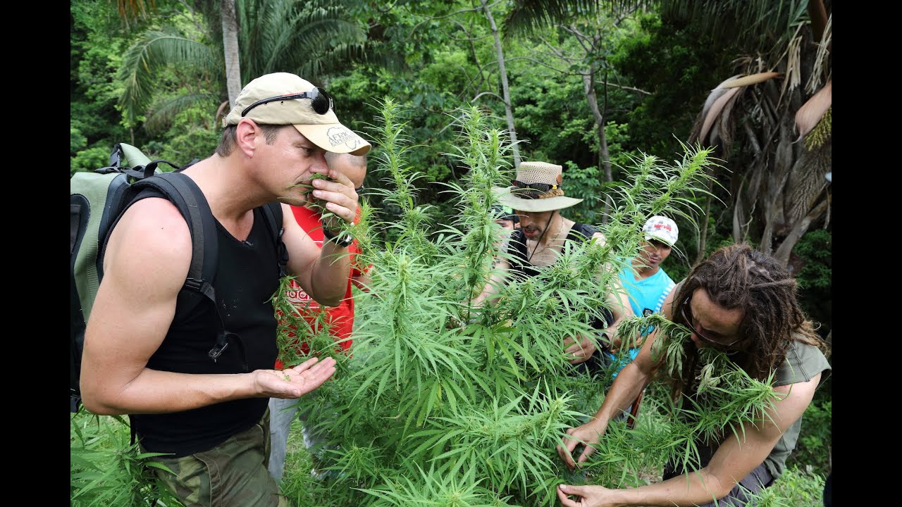 Охотники за штаммами RAW: Колумбия &mdash; За кулисами с VICE &mdash; Часть 1